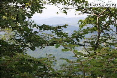 Long range views will be available once the trees