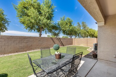 Easy to Maintain Backyard