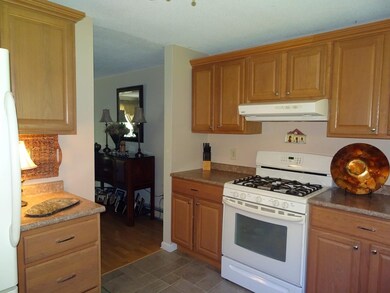 20 Gates Rd unit 10, Marlborough, NH 03455 - photo 7