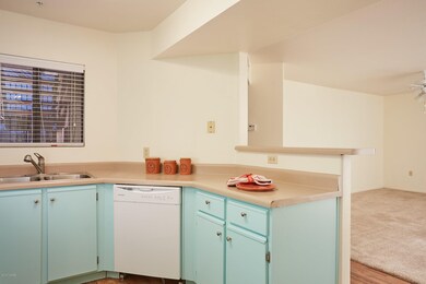 Veranda 31101-0954