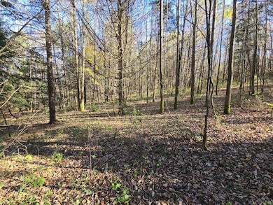 0WP Talbot Rd unit 1, West Winfield, NY 13491 - photo 4