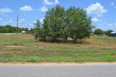 98 E Ridge Rd, Alamo, TX 78516 - photo 2