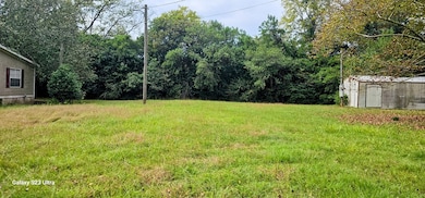 209 Pine St S, Bluffton, GA 39824 - photo 3