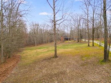 630 Stoney Point Rd, Bowdon, GA 30108 - photo 5