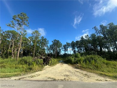 3983 33rd Ave NE, Rural Estates, FL 34120 - photo 2