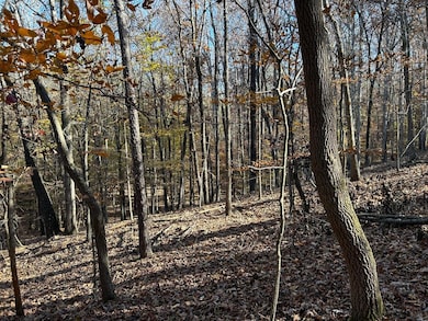 0 Dove Hill Rd unit 25439972, Royston, GA 30662 - photo 3