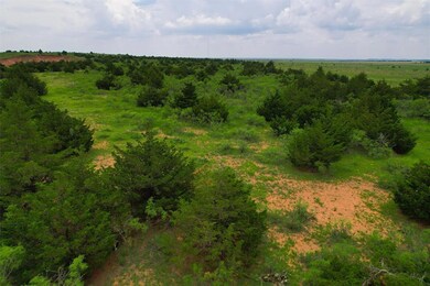 Hill top with trees.