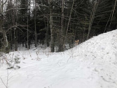 Lot 5 Echo Ridge Rd, Campton, NH 03223 - photo 2