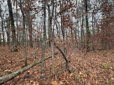 TBD Dogwood, Tull, AR 72015 - photo 3