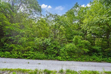 Table Rock Lake Close Acreage