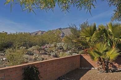 Backyard view