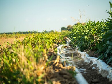 + - 705 Acres unit Tallahatchie County, Drew, MS 38944 - photo 4