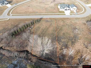 0 Pine Creek Rd, Mankato, MN 56001 - photo 5