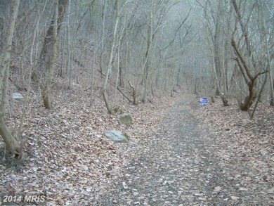 0 Not On File unit 1003742004, Maurertown, VA 22644 - photo 2