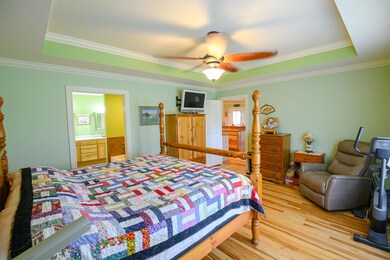 Master bedroom with large walk in closet and tray ceiling