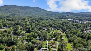 9999 School Rd E, Asheville, NC 28803 - photo 5