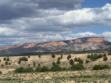 883 E Wilson Cir, Hatch, UT 84735 - photo 4