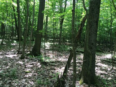 00 Baldwin Rd, Schenectady, NY 12302 - photo 5