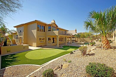 Backyard 6