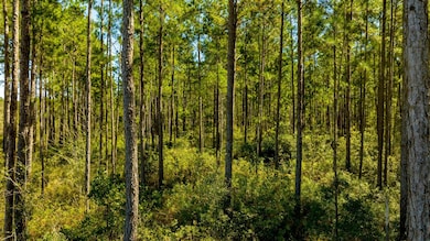 0 Bay Branch Church Rd unit 25551331, Claxton, GA 30417 - photo 7