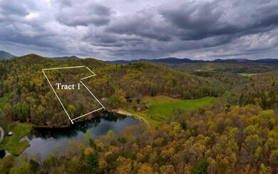 Lot 1 Doublehead Gap Rd, Blue Ridge, GA 30513 - photo 2