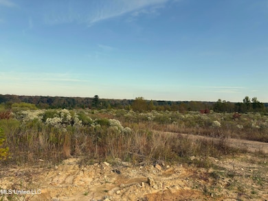 0 US 49 unit 4132003, Jackson, MS 39209 - photo 6