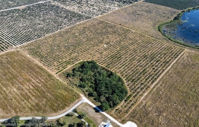 6601 Glenridge Rd, Sebring, FL 33876 - photo 7