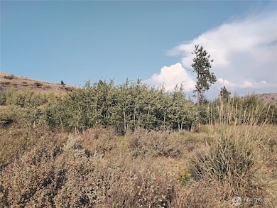 5 Painted Rock Rd, Tonasket, WA 98855 - photo 3