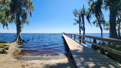 00 Georgetown Point Rd, Georgetown, FL 32139 - photo 6