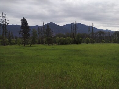 136 Timber Axe Ln, Columbia Falls, MT 59912 - photo 6