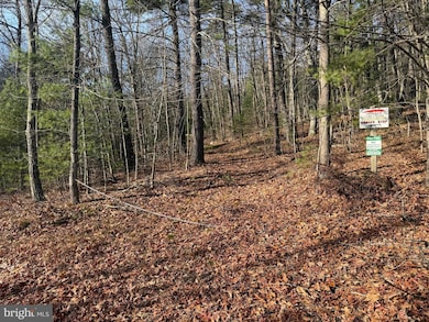 6 Cooper Mountain View Dr, Capon Bridge, WV 26711 - photo 2