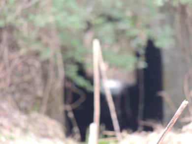 0 Lister Rd, Greer, SC 29651 - photo 2