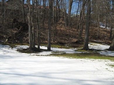 1051 Elm St unit 17, West Springfield, MA 01089 - photo 5