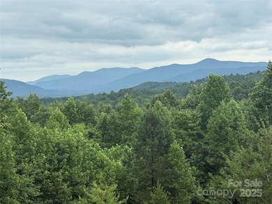 166 Coal Pit Mountain Dr unit 359, Nebo, NC 28761 - photo 7