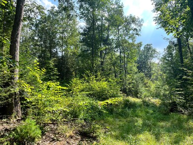 LOT 1 Earls Rd, South Berwick, ME 03908 - photo 3