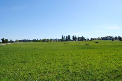 916 E Chattaroy Rd, Colbert, WA 99005 - photo 2