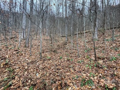 805 Sparkling Falls Rd, Whittier, NC 28789 - photo 5