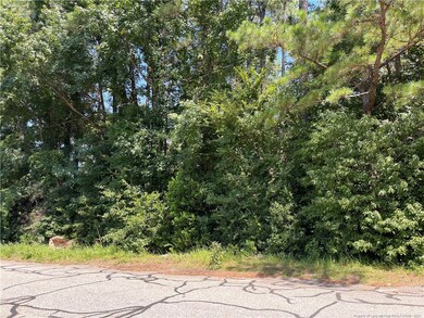 0 Fay Hart Rd, Fayetteville, NC 28306 - photo 3