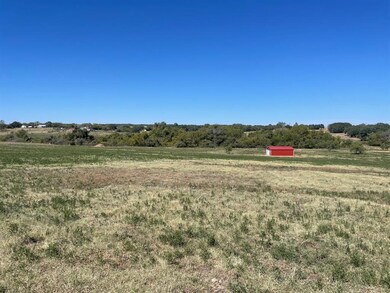 137 Lincoln Rd, Boyd, TX 76023 - photo 3