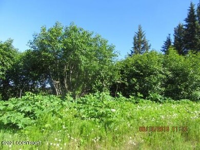 IMG_5268 (480x360)