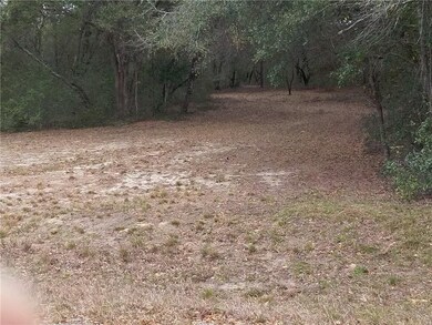 Cleared path going toward center of lot