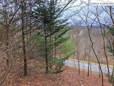 Lot 137 E Indrio Rd, Blowing Rock, NC 28605 - photo 6