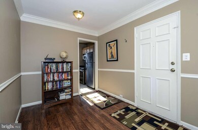 4308 2nd Rd N unit 2, Arlington, VA 22203 - photo 5