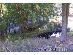 3172 Scronce Creek Rd, Burnsville, NC 28714 - photo 4