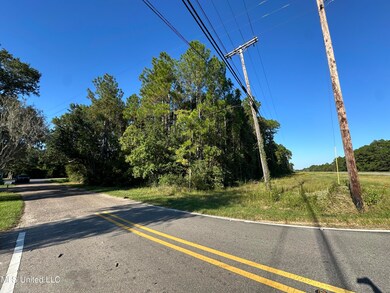 0 Highway 90 unit 4132408, Moss Point, MS 39563 - photo 7