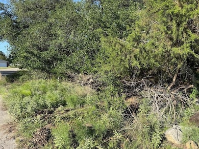 View of local wilderness