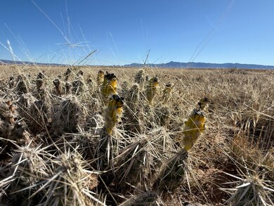 Lot 1 unit Block 313 Unit 7, Rio Communities, NM 87002 - photo 7