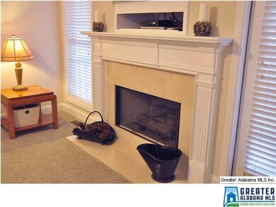 Gas fireplace with media storage area above