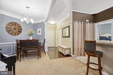 12461 Hayes Ct unit 304, Fairfax, VA 22033 - photo 6
