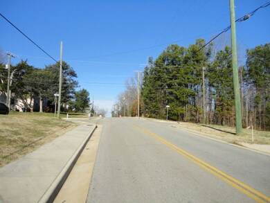 1105 Mecklenburg Ave, Victoria, VA 23974 - photo 3